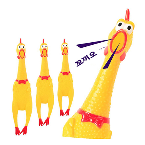 섬네일이미지.
