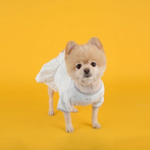 섬네일이미지