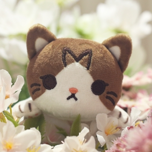 섬네일이미지
