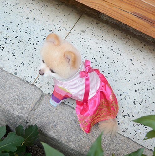 섬네일이미지.
