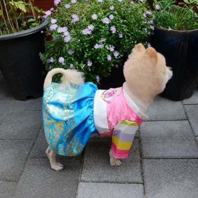 섬네일이미지.