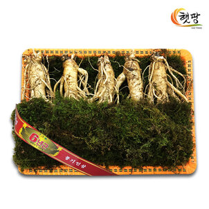상품썸네일