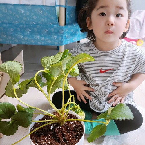 섬네일이미지