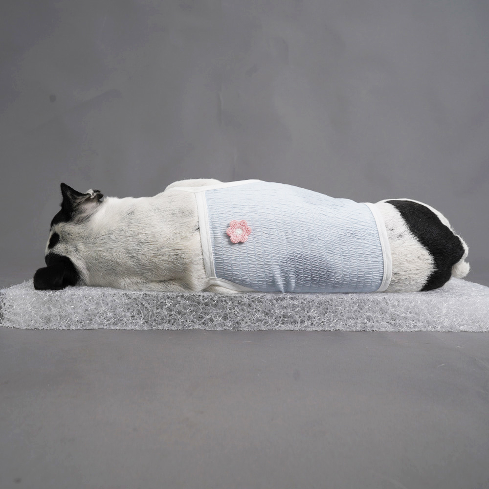 섬네일이미지.