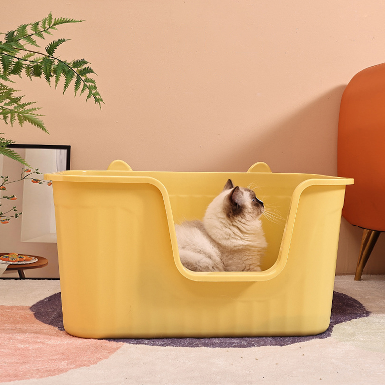 섬네일이미지.