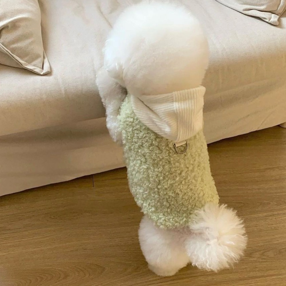 섬네일이미지.