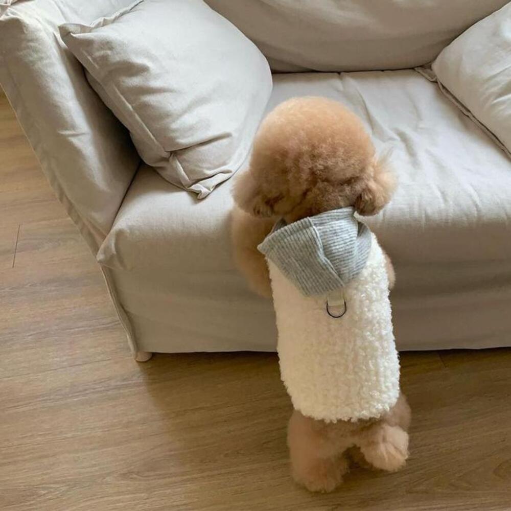 섬네일이미지.