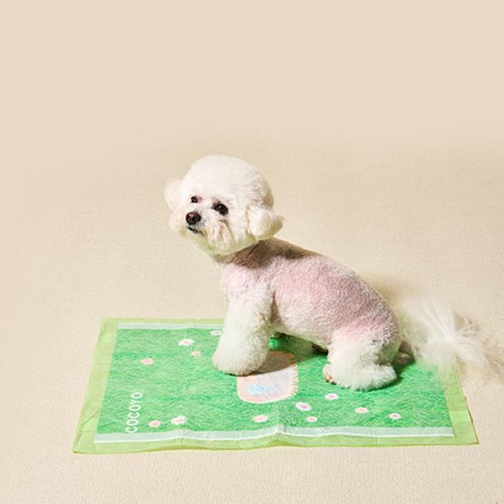 섬네일이미지.