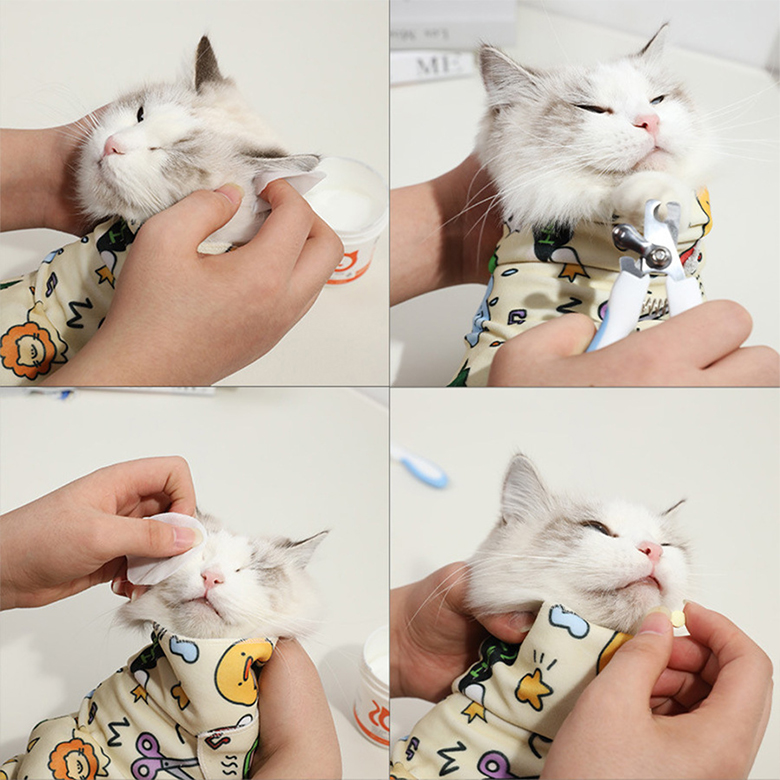 섬네일이미지.