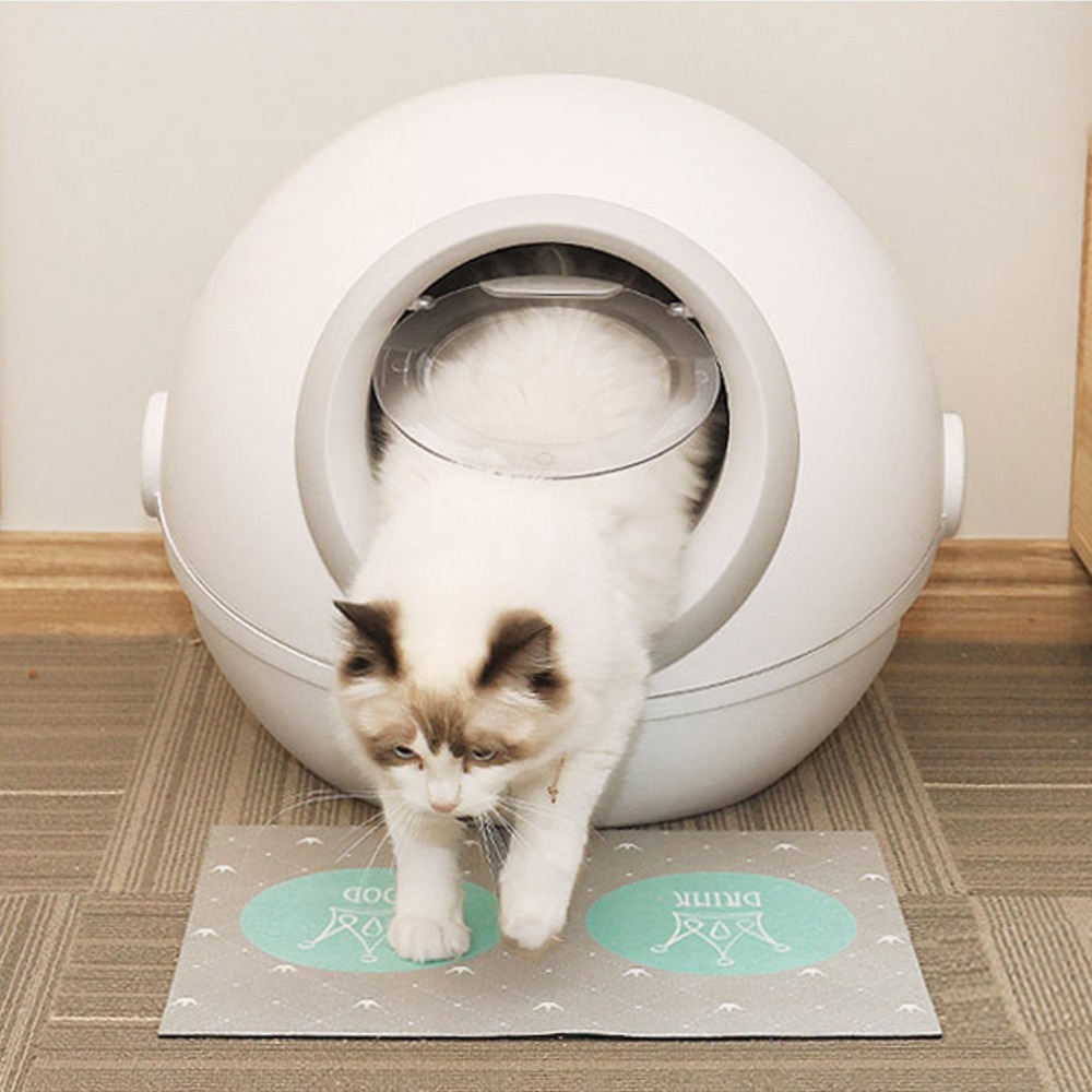 섬네일이미지.