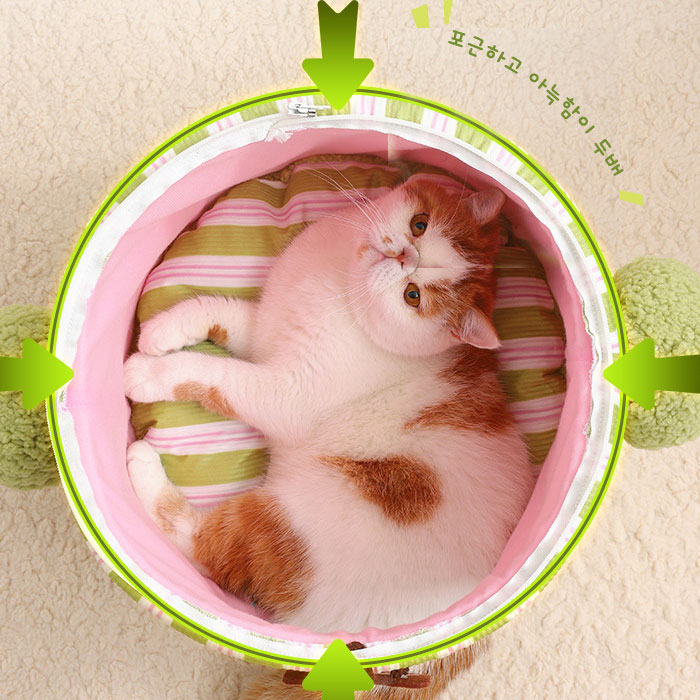 섬네일이미지.