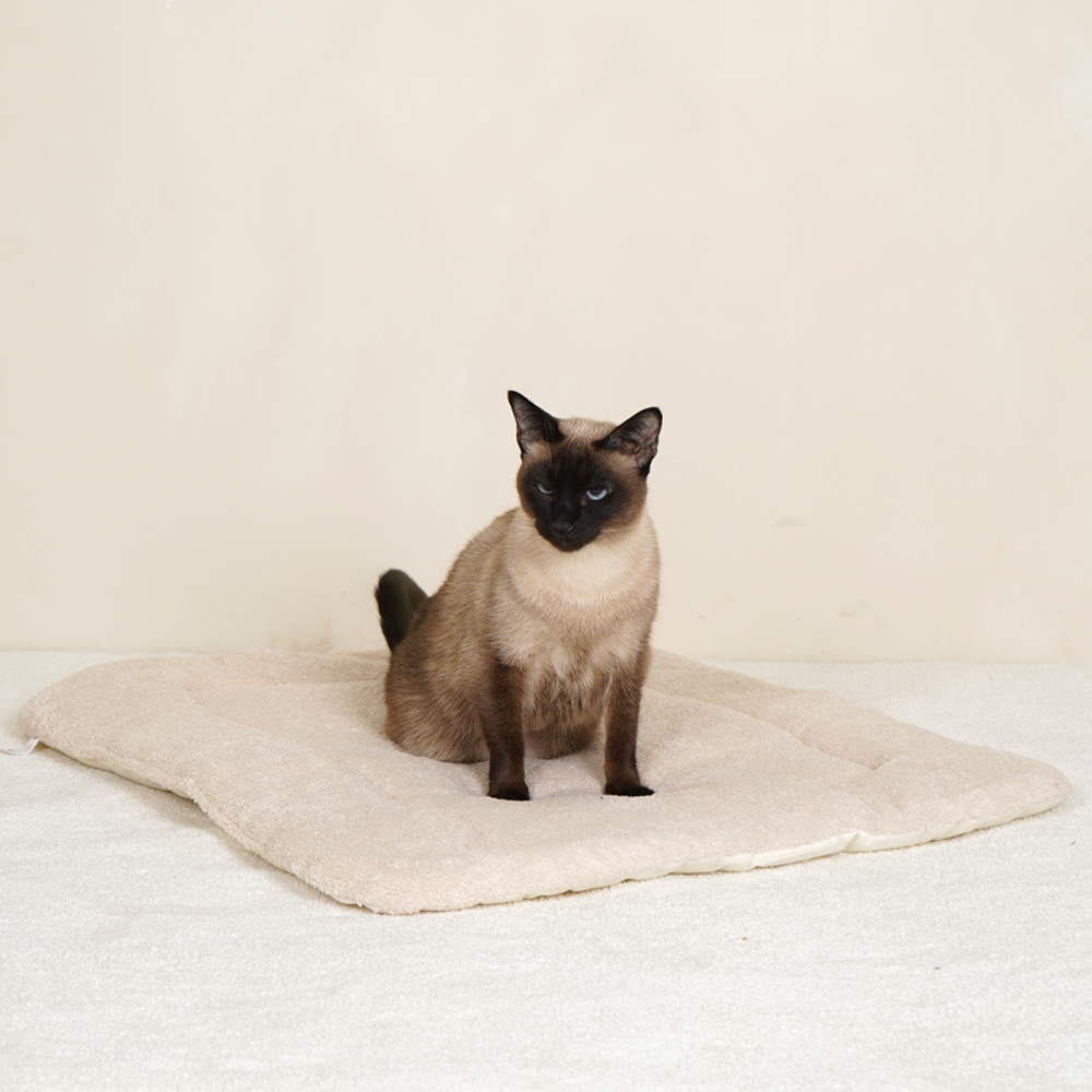 섬네일이미지.
