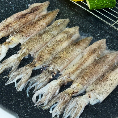 섬네일이미지