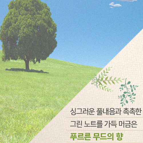 섬네일이미지.