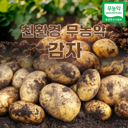 섬네일이미지